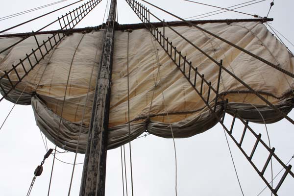 Lower the Kogg sail