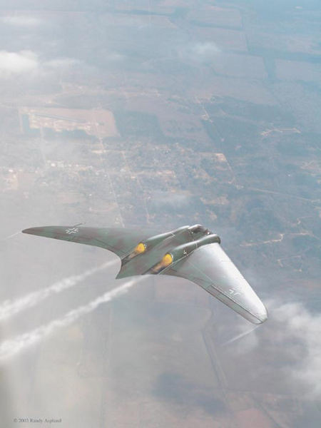 Randy Asplund Gotha Go 229 A-1 / Horten IX 1/72 Scale Model